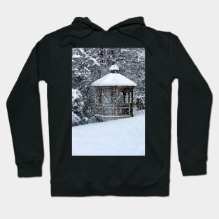 Winter Smack Hoodie